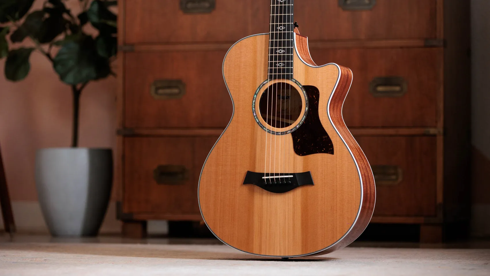 Taylor 512ce アコースティックギター Next Generation 512ce 12-Fret Neo-tropical Mahogany Acoustic